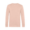 Soft Rose
